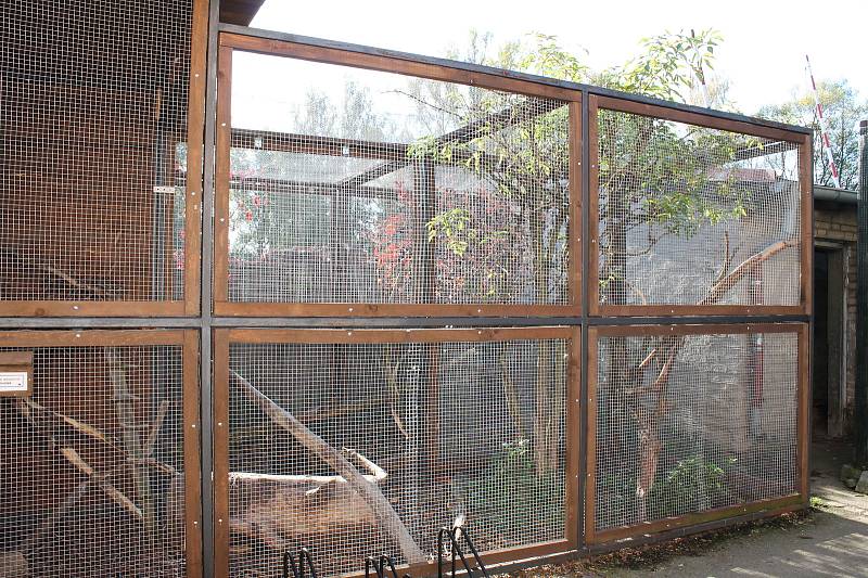 Třeboňská záchranná stanice je "domovem" pro zraněné volně žijící živočichy.