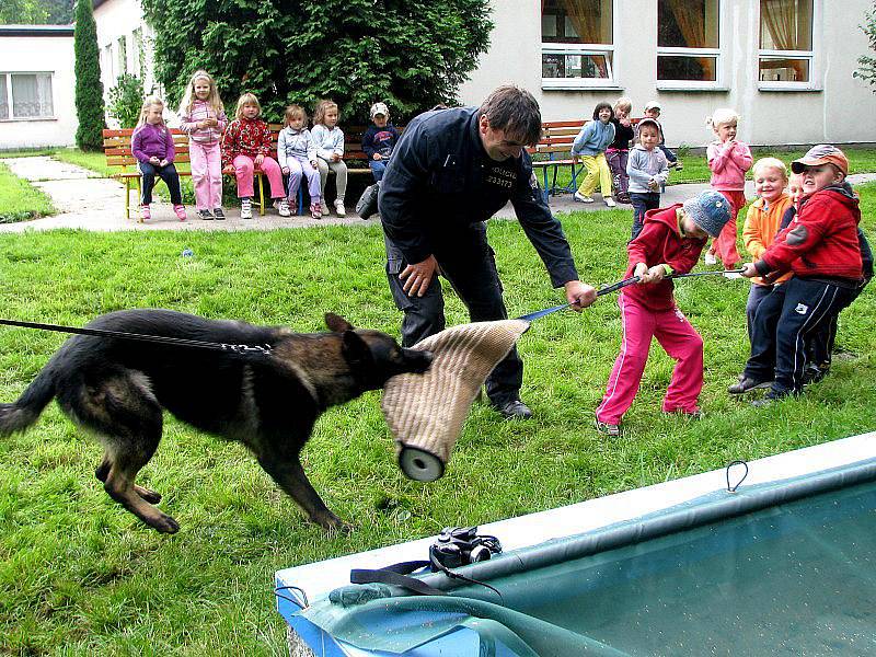 Psovodi Policie ČR z Jindřichova Hradce předvedli dětem z mateřské školky v ulici Röschova v J. Hradci, jak se cvičí policejní psi.