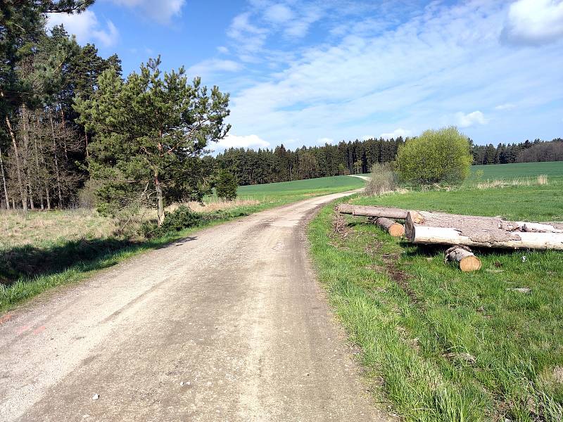 Pohled na místo tragické nehody na spojce z Jarošova na Dolní Radouň u Hánovského rybníka. V podvečer 3. května řidička s autem narazila do jedné z borovic, vůz se převrátil na střechu a žena zraněním podlehla.