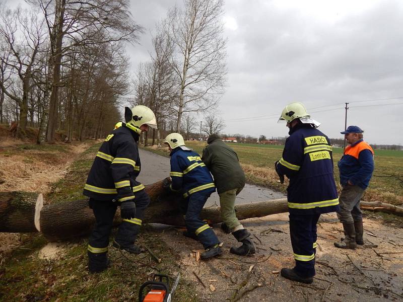 Dobrovolní hasiči z Lomnice nad Lužnicí opakovaně vyjížděli odstraňovat padlé stromy na silnici ve směru na Záblatí. 