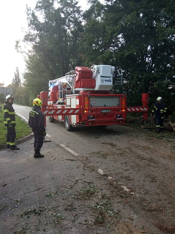 Zásahy hasičů u popadaných stromů na Dačicku v pondělí 20. června.