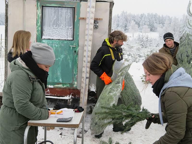 Rodinná plantáž s vánočními stromky několika druhů je otevřená od soboty 11. prosince denně. Zájemci si zde u Smetanových mohou vybrat vždy od 9 do 12 a od 13 do 16 hodin.