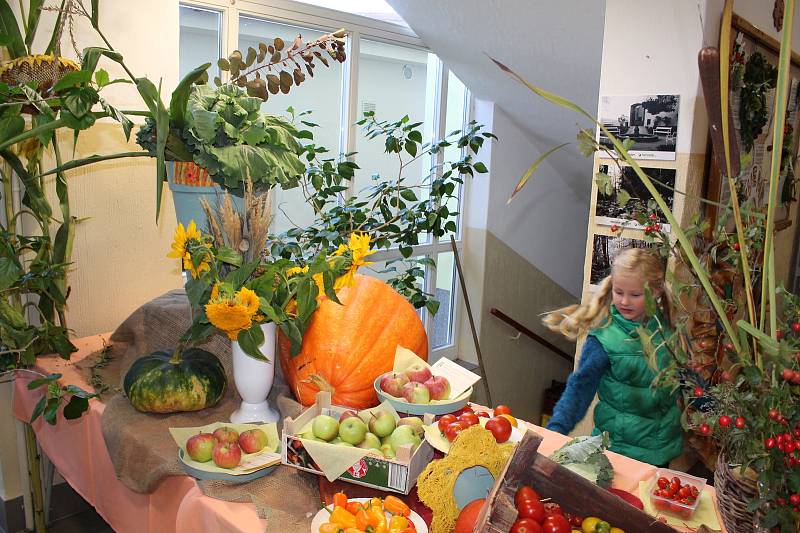 Školáci ze 3.ZŠ připravili tradiční výstavu ovoce, zeleniny a květin.