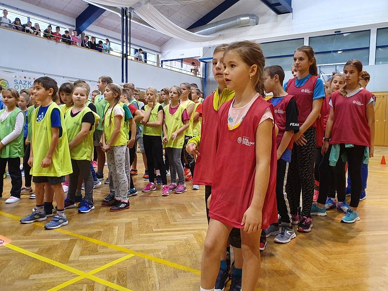 Děti ze Základní školy Na Sadech v Třeboni si společně zatrénovaly s účastníky olympijských her.