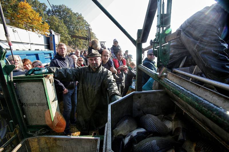 Rybáři sklízí úrodu kaprů rybníka Rožmberk.