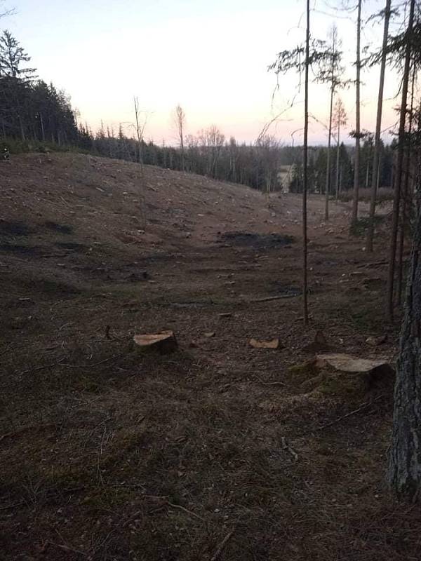 Požár lesa u Radíkova na Českorudolecku.