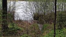 Propršená procházka kolem rybníka Velký Hroch u Jindřichova Hradce.