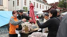 Jihočeský festival zdraví v Třeboni měl tentokrát podtitul "Srdeční záležitost".