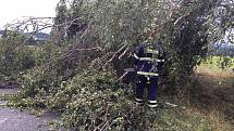 Rušnou noc z pátku na sobotu měli i hasiči z Deštné. Mimo jiné v Rosičce odstraňovali strom spadlý na střechu domu a u Chotěmic, které již leží v sousedním okrese, prořezávali zatarasenou silnici.