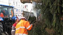 Stavění vánočního stromu na jindřichohradeckém náměstí Míru. 