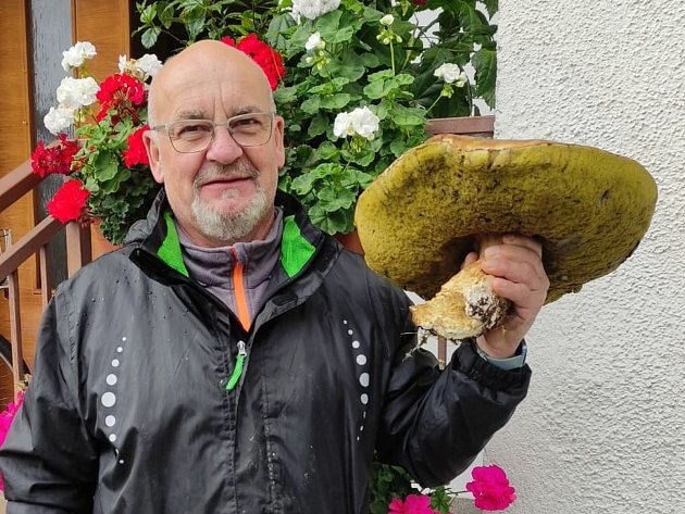 Obří hřib našel Luděk Bartáček v lesích na Třeboňsku, přesné místo si jako správný houbař střeží.