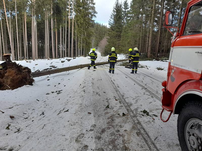 Výjezd hasičů ze Starého Města pod Landštejnem k padlému stromu u Stálkova.