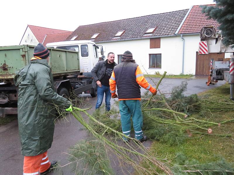 Dvanáctimetrová jedle ojíněná putovala v pondělí 22. listopadu z Mnichu u Kardašovy Řečice do centra Jindřichova Hradce. Ozdobí ji dvoukilometrový světelný řetěz.