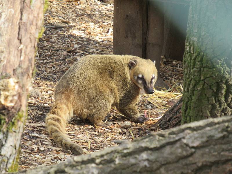 Velikonoce v Zoo Na Hrádečku.