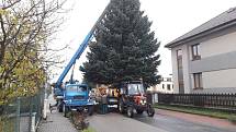 V Suchdole nad Lužnicí už mají na náměstí připravený vánoční strom. Rozsvítí jej o první adventní neděli.