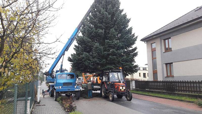 V Suchdole nad Lužnicí už mají na náměstí připravený vánoční strom. Rozsvítí jej o první adventní neděli.