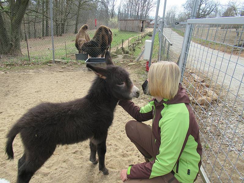 Velikonoce v Zoo Na Hrádečku.