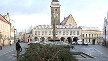  Nápor vichřice nevydržel vánoční strom na náměstí ve Slavonicích. Při pádu naštěstí nikoho nezranil. 