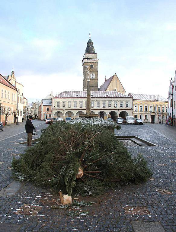  Nápor vichřice nevydržel vánoční strom na náměstí ve Slavonicích. Při pádu naštěstí nikoho nezranil. 