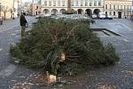  Nápor vichřice nevydržel vánoční strom na náměstí ve Slavonicích. Při pádu naštěstí nikoho nezranil. 