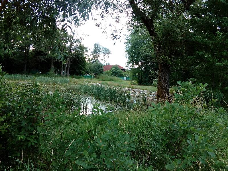 Zatím kolem rybníků mezi Kopečkem a Starou Radouňkou vede jen pěšina.