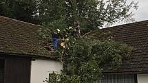 Rušnou noc z pátku na sobotu měli i hasiči z Deštné. Mimo jiné v Rosičce odstraňovali strom spadlý na střechu domu a u Chotěmic, které již leží v sousedním okrese, prořezávali zatarasenou silnici.