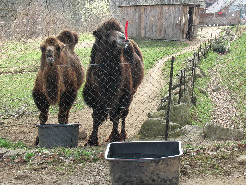 Velikonoce v Zoo Na Hrádečku.