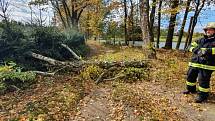 Dobrovolní hasiči z Jindřichova Hradce odstraňovali spadlý strom přes příjezdovou cestu v Horním Žďáru.