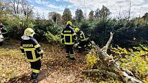 Dobrovolní hasiči z Jindřichova Hradce odstraňovali spadlý strom přes příjezdovou cestu v Horním Žďáru.