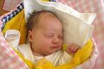 Julie Hanoldová se narodila 10. května  ve 13 hodin a 6 minut Michaele a Petrovi Hanoldovým z Lásenice. Vážila 3210 gramů a měřila 49 centimetrů.