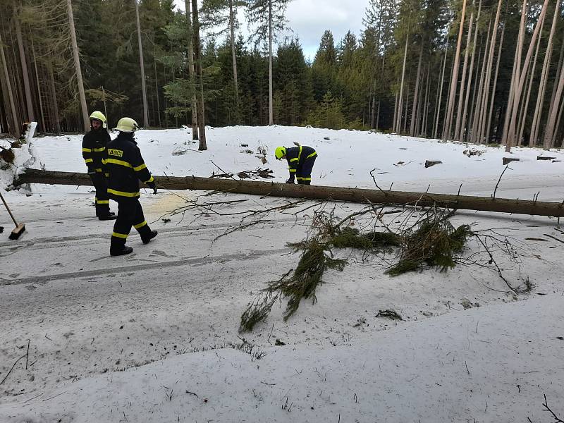 Výjezd hasičů ze Starého Města pod Landštejnem k padlému stromu u Stálkova.