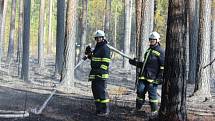 PLAMENY VYŠLEHLY ve středu odpoledne z lesa u Plavska. Na místě zasahovalo hned několik hasičských jednotek. Na snímku jsou „v akci“ dobrovolní hasiči z Jindřichova Hradce.