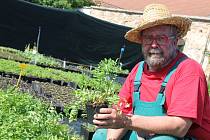 Zahradník Martin Charvát z Jindřichova Hradce radí, jak si poradit s pěstováním bylinek doma v kuchyni.