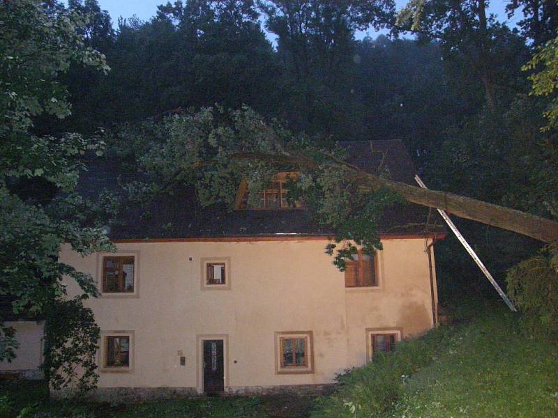 Spadlý strom na rybářskou baštu na hrázi Ratmírovského rybníka v Malém Ratmírově. 