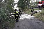 Následky noční bouřky ze čtvrtka na pátek odklízeli hasiči na jihu Čech. Na snímku je Jivno.