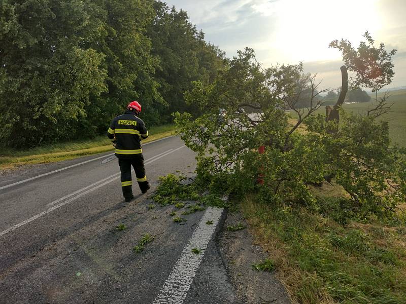 Zásahy hasičů u popadaných stromů na Dačicku v pondělí 20. června.