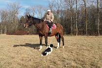 Zemřel legendární jezdec Stanislav Beránek z Lásenice. Na snímku je se svým oblíbeným koněm Diamantem - sedmnáctiletým českým teplokrevníkem.