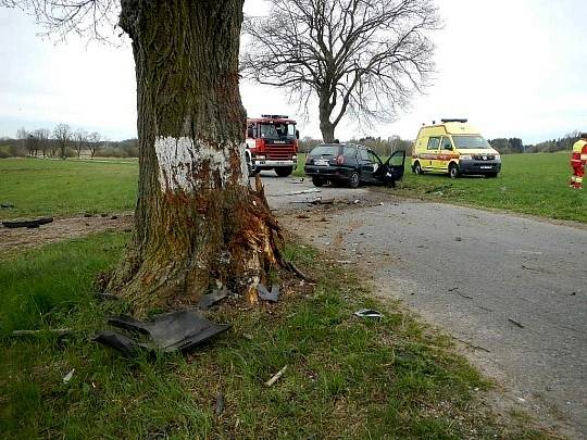 Při nárazu do stromu u Popelína řidič zemřel.