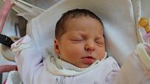 Šarlota Carvová, Kamenice nad Lipou.Narodila se 12. listopadu Daně Karáskové a Milanu Carvovi, vážila 3 000 gramů a měřila 47 centimetrů.