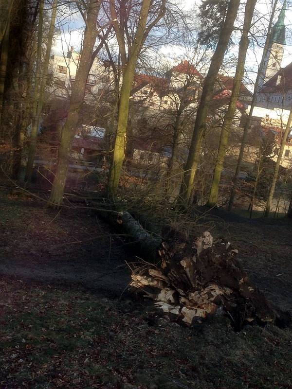 V důsledku silného větru spadl strom i v jindřichohradeckém parku.