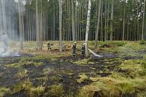 Páteční požár lesa v Mutyněvsi zlikvidovali hasiči za tři hodiny.