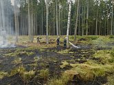 Páteční požár lesa v Mutyněvsi zlikvidovali hasiči za tři hodiny - Ilustrační foto