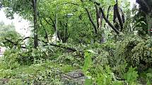 Poryvy větru polámaly ve městě desítky stromů, nejhůř dopadla kaštanovo-lipová alej.