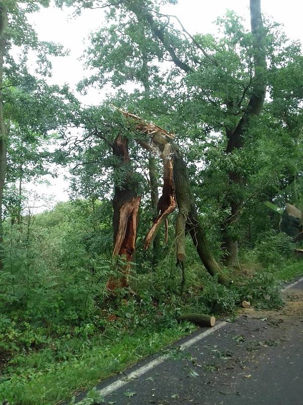 Od noci se nezastavili ani dobrovolní hasiči z Lomnice nad Lužnicí.