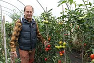 Petr Mastný z Doňova na Jindřichohradecku koncem srpna sklízí na farmě například rajčata, papriky, lilek, kapustu, brokolici a další zeleninu.