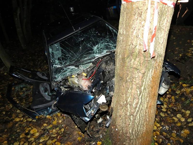 U Budíškovic narazilo auto do stromu. Ve voze zůstaly zaklíněné dvě osoby. 