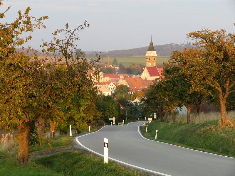 Sakury na náměstí a břízy v městském parku ve Slavonicích.