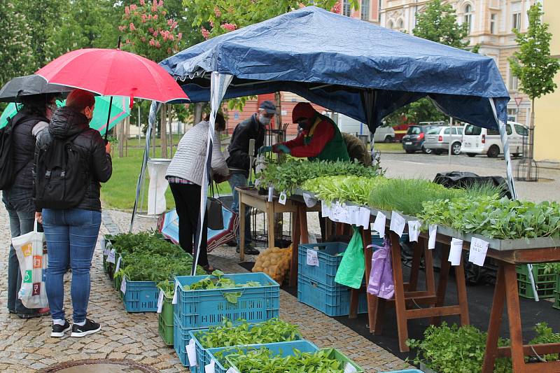 Páteční počasí farmářskému trhu v Jindřichově Hradci nepřálo.