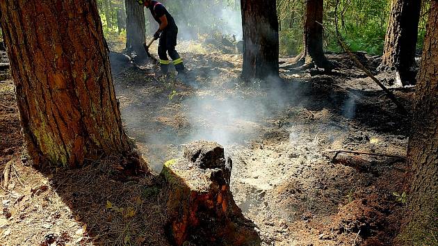 Hasiči v pondělí vyjížděli i k požáru lesní hrabanky u Rapšachu na Jindřichohradecku. Foto: HZS JčK