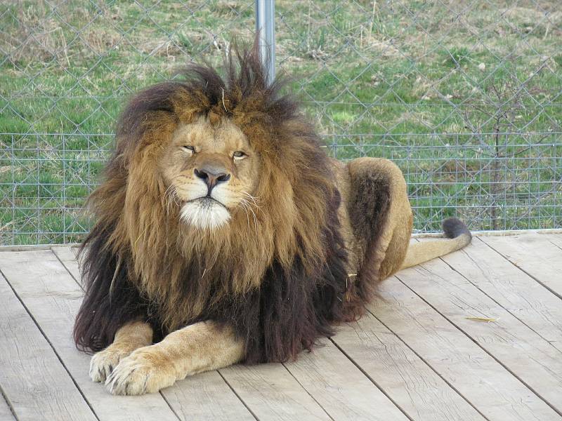 Velikonoce v Zoo Na Hrádečku.